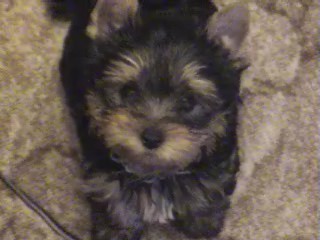 PROD�M �T�NATA