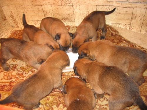 Prod�m �t��ata