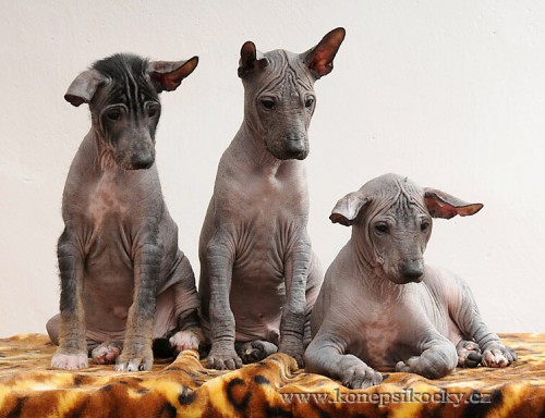 Prod�m �t�n�ata Peru�n�