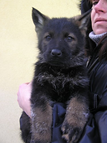 �t��ata NO k odb�ru