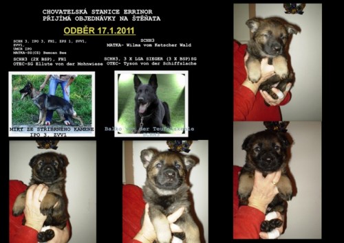  Prod�m �t��ata N�meck�ho ov��ka