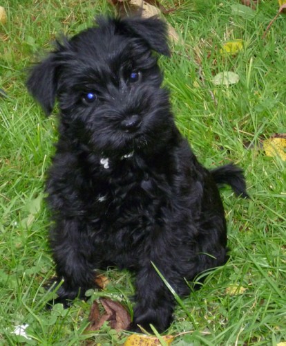 �t��ata kn�ra�e mal�ho �ern�ho