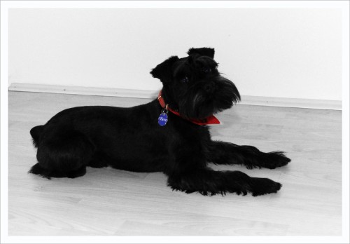 Ben hled� fene�ku