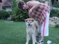 �t��ata Akita inu s PP
