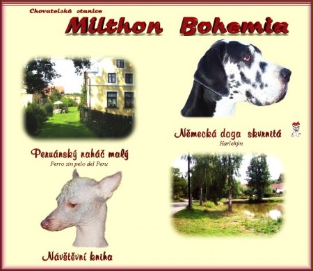 MILTHON  BOHEMIA