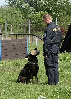 Bezchybn� aport - Indo z PS (H2, P2) 