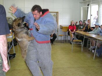 Z�krok do ringo obleku...