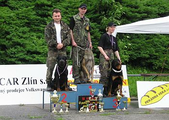 Trojice nejlep��ch...