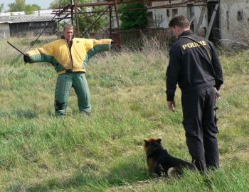 Hl�d�n� p�i prohl�dce...