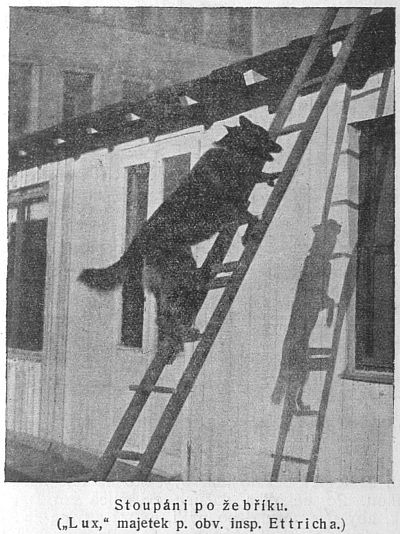 Stoup�n� po �eb��ku