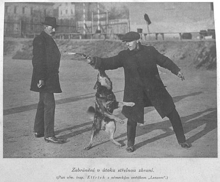 Zabr�n�n� v �toku st�elnou zbran�