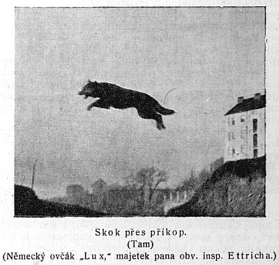 Skok p�es p��kop - tam