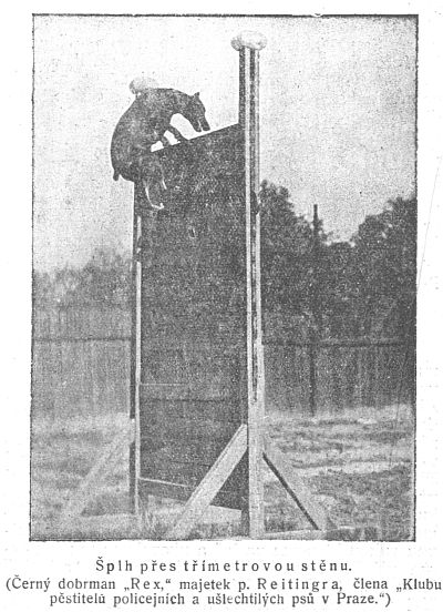 �plh p�es t��metrovou st�nu