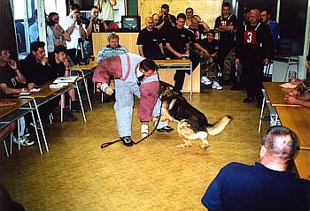 Fotka z minul�ho ro�n�ku