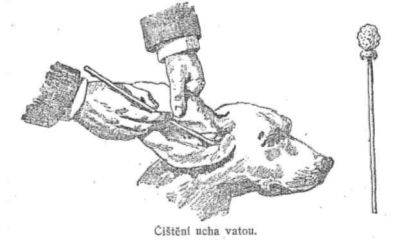 �ist�n� ucha vatou