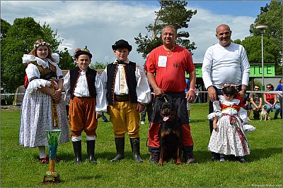 Fud�i Terezsk� dv�r, majitel Frank Karel, V1, CAJC, v�t�z plemene BOB.