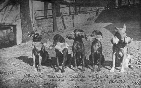 T�i spolehliv� p�in�e�i a dva u�enn�ci