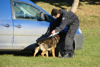 Uk�zka vyhled�n� v�bu�niny na vozidle