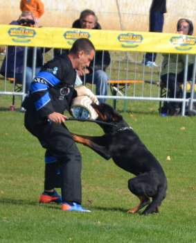 Osiris Ballotada na obran�