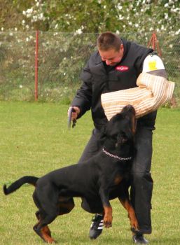 Val��k�v memori�l 2010