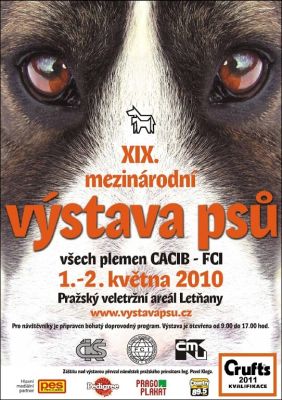 V�stava ps� Praha 2010