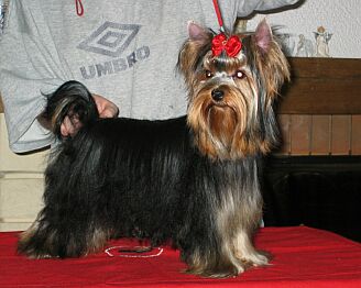 Olympia �lut� �eka